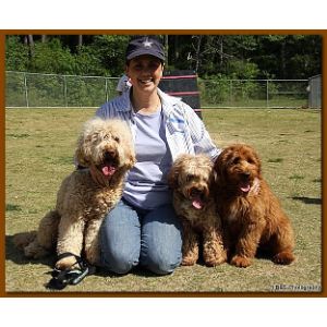 Southern-Charm-Labradoodles