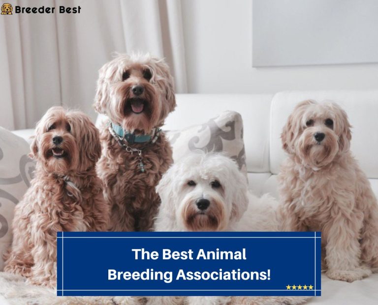 The Best Animal Breeding Associations! (2023) - Breeder Best