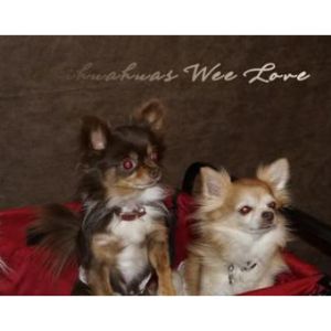 Chihuahuas-Wee-Love